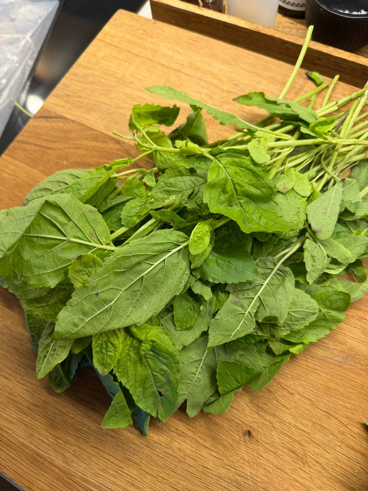 Stark basilika | krapow, helig basilika, holy basil