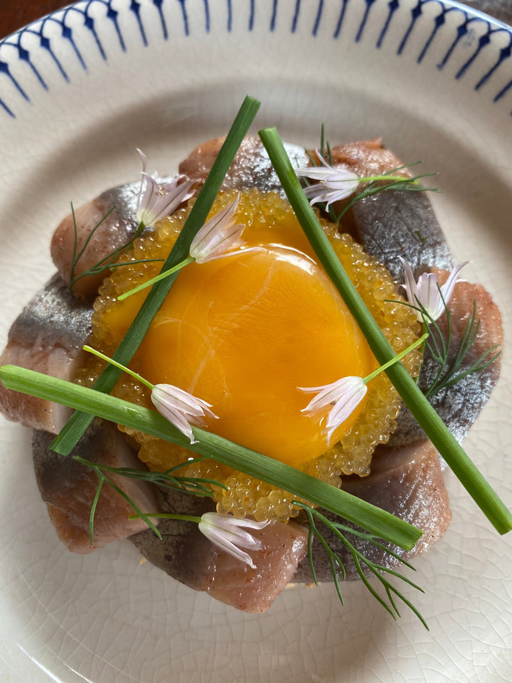 Matjessillmacka med äggula & sikrom