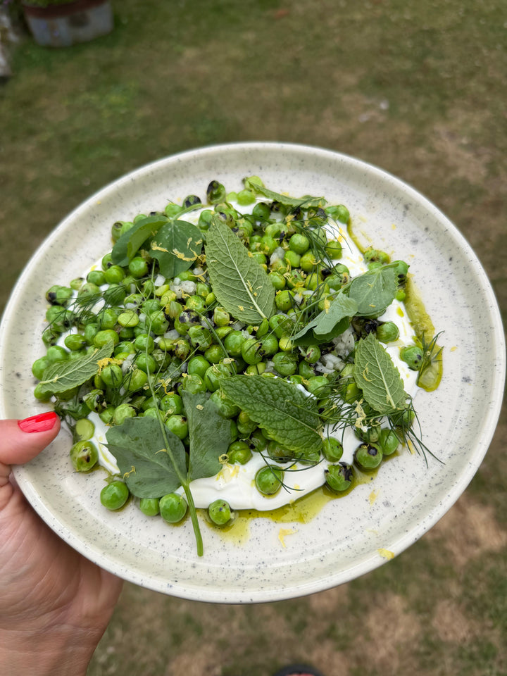 Eldade spritärtor med yoghurt och färska örter