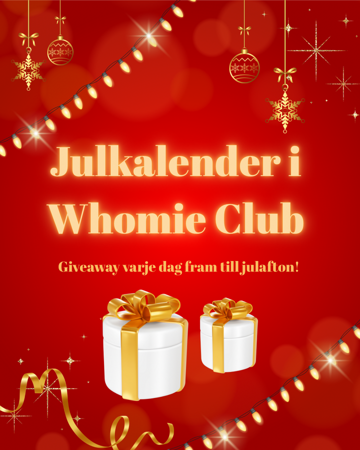 Julkalender 2025