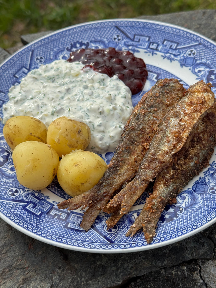 Stekt strömming med begelgucka, färskpotatis & lingonsylt